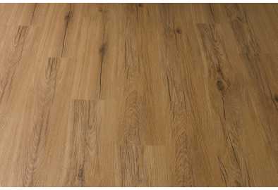 33037 Дуб Кадіс