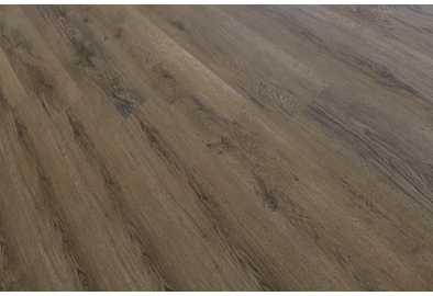 33259 Дуб Кордова