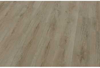 33488 Дуб Валенсия