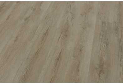 33488 Дуб Валенсія