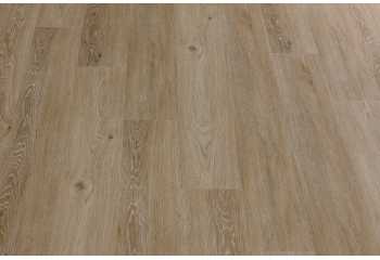 33777 Дуб Ронда