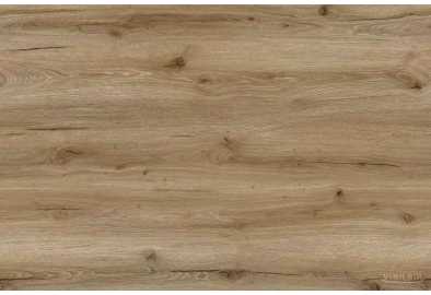 WF 0370 - ДУБ БУРШТИНОВИЙ
