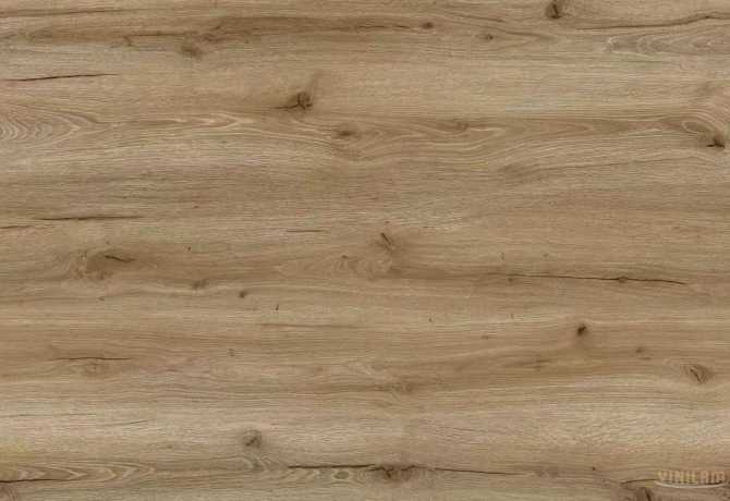 WF 0370 - ДУБ БУРШТИНОВИЙ
