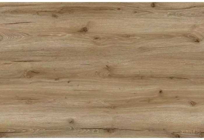 WF 0370 - ДУБ БУРШТИНОВИЙ