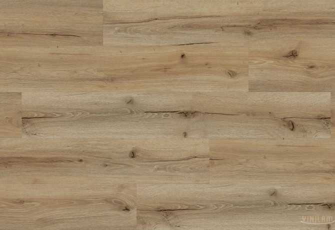 WF 0370 - ДУБ БУРШТИНОВИЙ