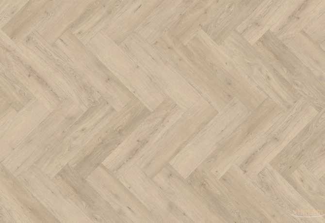 MS1018 - ДУБ СКАНДІ