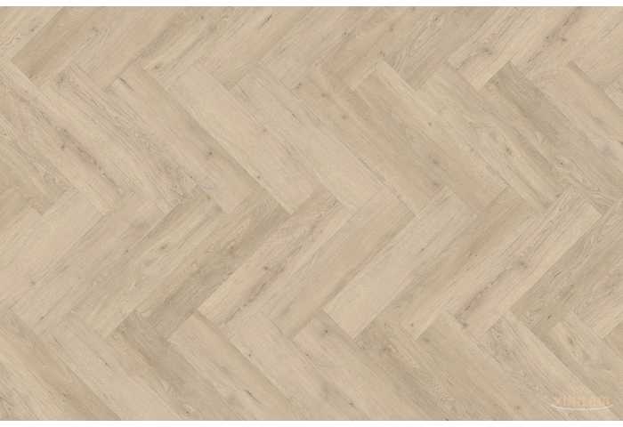 MS1018 - ДУБ СКАНДІ