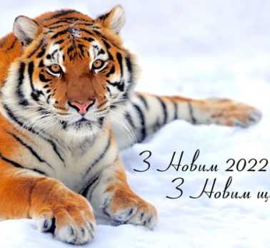  Розклад роботи у Новорічні свята